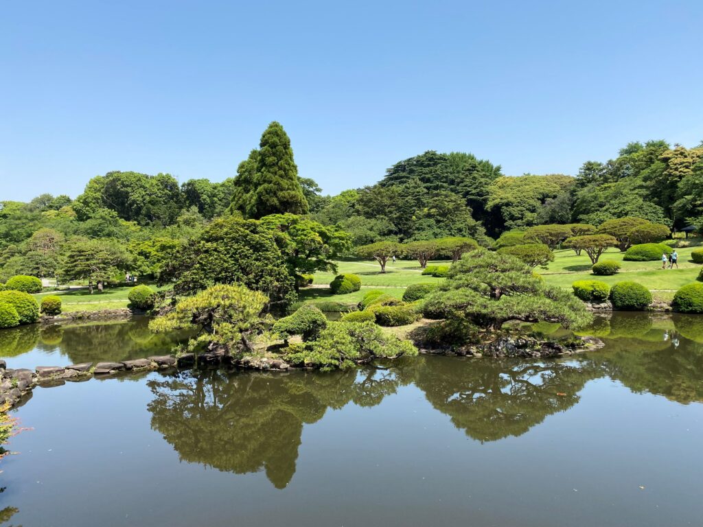 Pond at Shinjuku National Garden