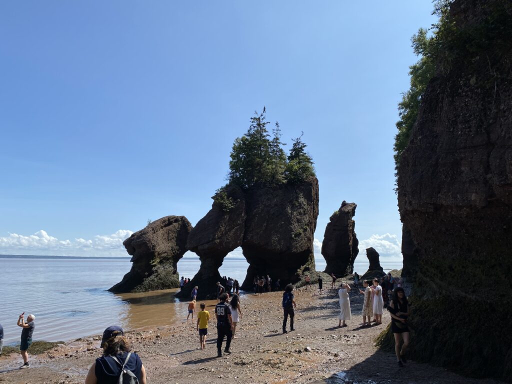 Flowerpot Rocks at Hopewell Rocks Provincial Park, New Brunswick